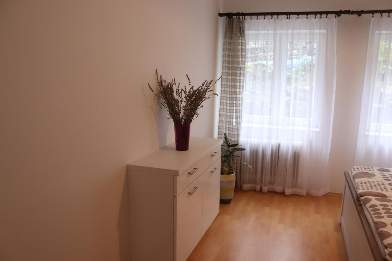 Apartman 825 Jáchymov Esterno foto